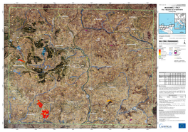 MUSSOMELI, V1, English MUSSOMELI - ITALY 540 20 4 4 20 Fire - Situation As of 02/07/2016 0 0