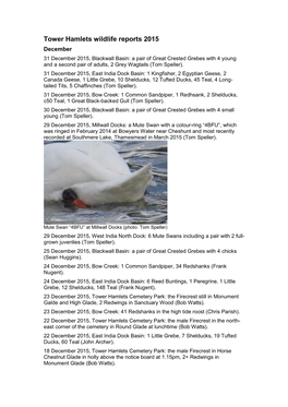 2015 Wildlife Reports