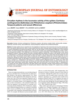 Circadian Rhythms in the Locomotor Activity of the Spiders Carrhotus