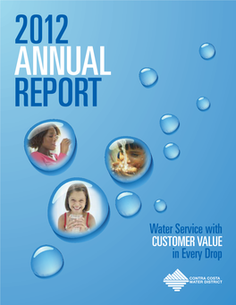 2012 Annual Report