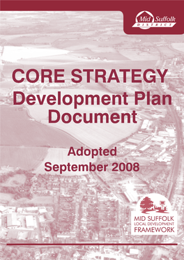 Msdccorestrategydpd.Pdf