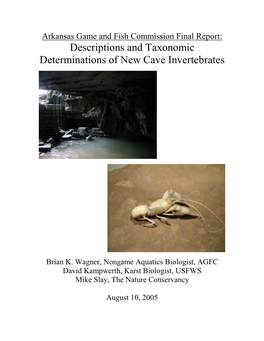 Descriptions and Taxonomic Determinations of New Cave Inve–