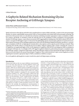 A Gephyrin-Related Mechanism Restraining Glycine Receptor Anchoring at Gabaergic Synapses