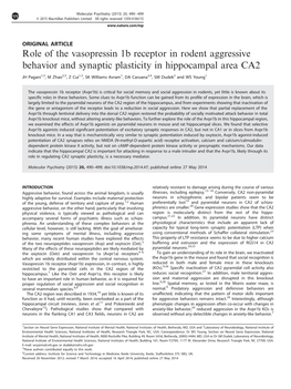 Role of the Vasopressin 1B Receptor in Rodent Aggressive Behavior and Synaptic Plasticity in Hippocampal Area CA2