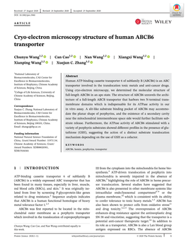 Cryo‐Electron Microscopy Structure of Human ABCB6 Transporter