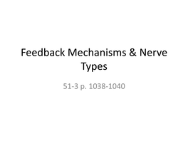 Feedback Mechanisms and Types of Neurons