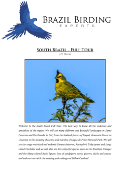 South Brazil Full Tour 12 Days