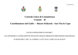 Centrale Unica Di Committenza Comuni Di Castellammare Del Golfo –– Buseto Palizzolo - San Vito Lo Capo