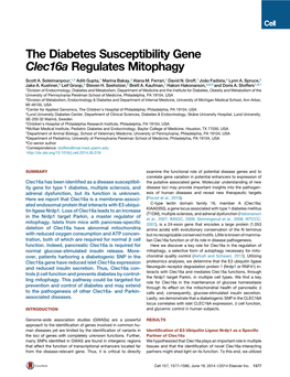 The Diabetes Susceptibility Gene Clec16a Regulates Mitophagy