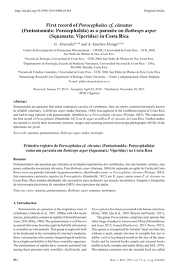 Pentastomida: Porocephalida) As a Parasite on Bothrops Asper (Squamata: Viperidae) in Costa Rica G