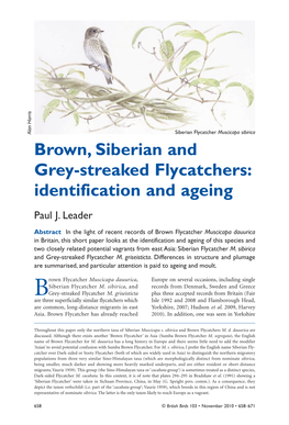 Brown, Siberian and Grey-Streaked Flycatchers: Identification and Ageing Paul J