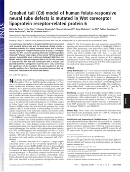 (Cd) Model of Human Folate-Responsive Neural Tube Defects Is Mutated in Wnt Coreceptor Lipoprotein Receptor-Related Protein 6