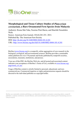 Morphological and Tissue Culture Studies of Platycerium Coronarium