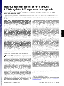 Negative Feedback Control of HIF-1 Through REDD1-Regulated ROS Suppresses Tumorigenesis