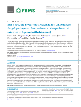 Soil P Reduces Mycorrhizal Colonization While Favors