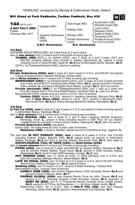 YEARLING, Consigned by Baroda & Colbinstown Studs, Ireland