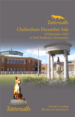 Cheltenham December Sale 10 December 2020 at Park Paddocks, Newmarket