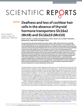 Deafness and Loss of Cochlear Hair Cells in the Absence Of