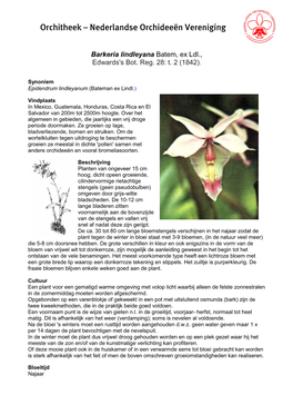 Barkeria Lindleyana Batem, Ex Ldl., Edwards's Bot