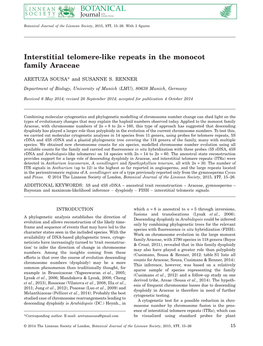 Interstitial Telomerelike Repeats in the Monocot Family Araceae