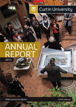 Annual Report 2013