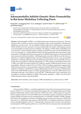 Adrenomedullin Inhibits Osmotic Water Permeability in Rat Inner Medullary Collecting Ducts