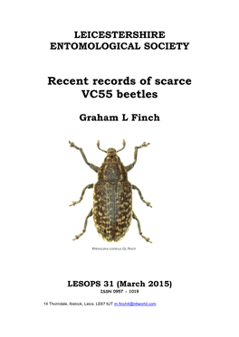 Scarce Beetles 2