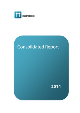 Consolidated Report