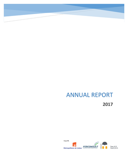 Annual Report 2017