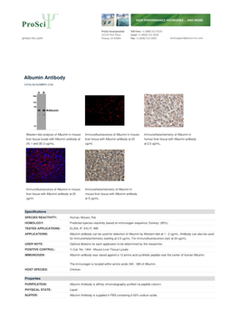 Albumin Antibody