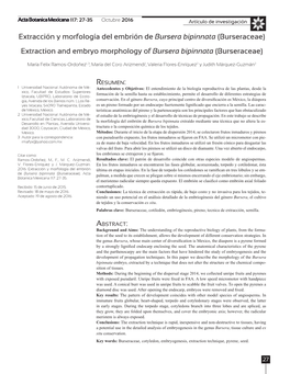 Extracción Y Morfología Del Embrión De Bursera Bipinnata (Burseraceae) Extraction and Embryo Morphology of Bursera Bipinnata (Burseraceae)