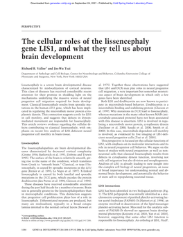 The Cellular Roles of the Lissencephaly Gene LIS1, and What They Tell Us About Brain Development
