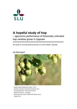 A Hopeful Study of Hop – Agronomic Performance of Historically Cultivated Hop Varieties Grown in Uppsala