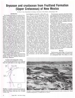 Bryozoan and Crustacean from the Fruitland Formation