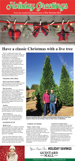 Have a Classic Christmas with a Live Tree