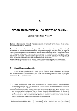 Teoria Tridimensional Do Direito De Família