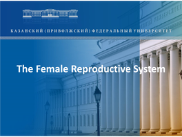 The Female Reproductive System the Female Reproductive System