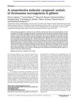 A Comprehensive Molecular Cytogenetic Analysis of Chromosome Rearrangements in Gibbons