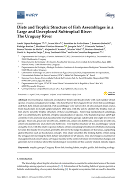 Diets and Trophic Structure of Fish Assemblages in a Large and Unexplored Subtropical River: the Uruguay River