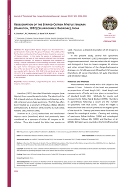 Redescription of the Striped Catfish Mystus Tengara (Hamilton, 1822) (Siluriformes: Bagridae), India