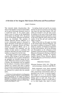 A Revision of the Surgeon Fish Genera Zebrasoma and Paracanthurus1