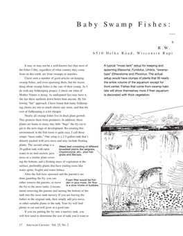 Raising-Baby-Swamp-Fishes.Pdf