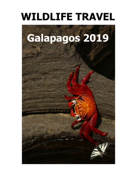 Wildlife Travel Galapagos 2019