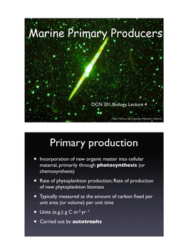 Marine Primary Producers Primary Production