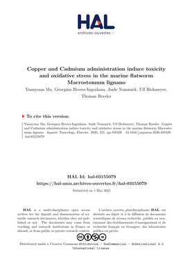 Copper and Cadmium Administration Induce Toxicity And