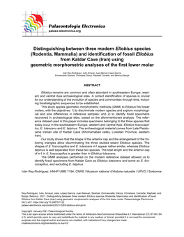 Distinguishing Between Three Modern Ellobius Species (Rodentia, Mammalia) and Identification of Fossil Ellobius from Kaldar Cave