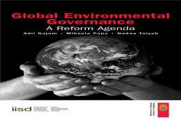 Global Environmental Governance