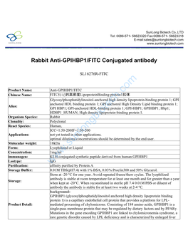 Rabbit Anti-GPIHBP1/FITC Conjugated Antibody-SL16276R