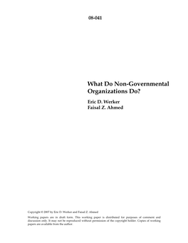 What Do Non-Governmental Organizations Do?