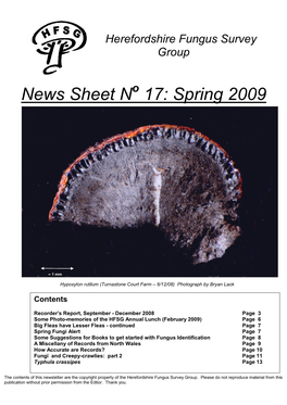 News Sheet N 17: Spring 2009